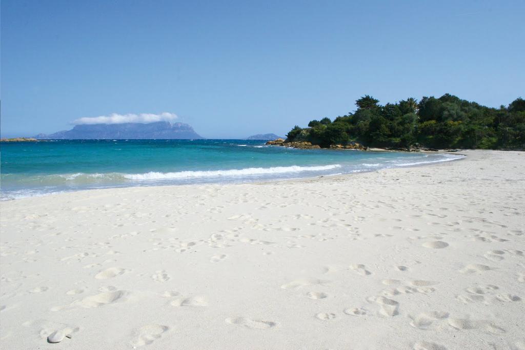 מלון אולביה Al Mare Da Francesca מראה חיצוני תמונה
