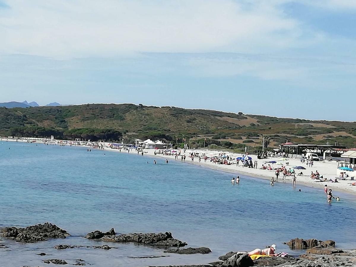 מלון אולביה Al Mare Da Francesca מראה חיצוני תמונה